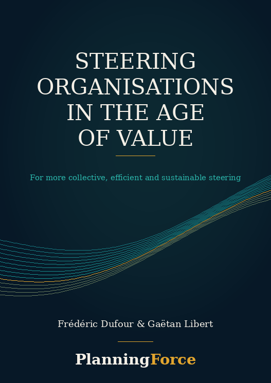 Cover of the book Steering organisations in the age of value